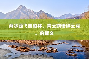 海水西飞照柏林，青云斜倚锦云深。的释义
