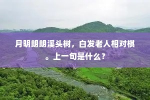 月明朗朗溪头树，白发老人相对棋。上一句是什么？