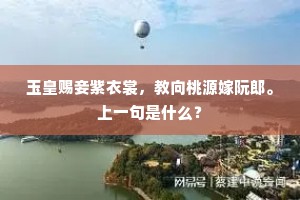玉皇赐妾紫衣裳，教向桃源嫁阮郎。上一句是什么？