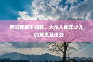 穷阳有数不知数，大似人间年少儿。的意思及出处