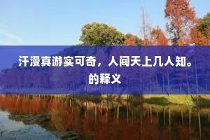 汗漫真游实可奇，人间天上几人知。的释义