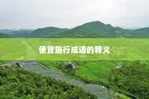便宜施行成语的释义