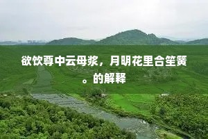 欲饮尊中云母浆，月明花里合笙簧。的解释