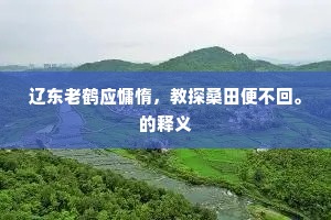 辽东老鹤应慵惰，教探桑田便不回。的释义