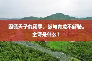 因循天子能闲事，纵与青龙不解骑。全诗是什么？