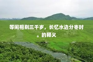 等闲相别三千岁，长忆水边分枣时。的释义