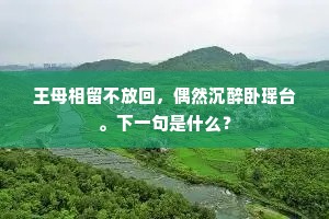 王母相留不放回，偶然沉醉卧瑶台。下一句是什么？
