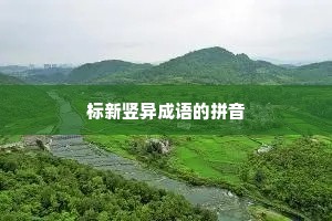 标新竖异成语的拼音