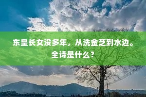 东皇长女没多年，从洗金芝到水边。全诗是什么？