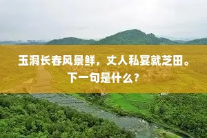 玉洞长春风景鲜，丈人私宴就芝田。下一句是什么？