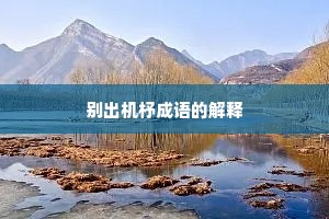 别出机杼成语的解释