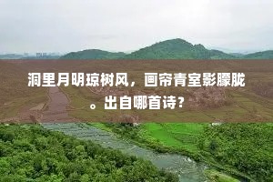 洞里月明琼树风，画帘青室影朦胧。出自哪首诗？