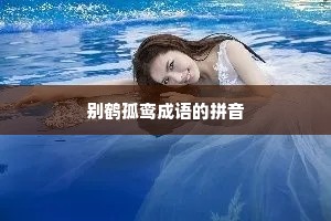 别鹤孤鸾成语的拼音