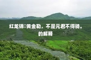 红龙锦襜黄金勒，不是元君不得骑。的解释