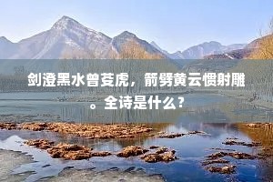 剑澄黑水曾芟虎，箭劈黄云惯射雕。全诗是什么？