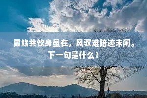 霞觞共饮身虽在，风驭难陪迹未闲。下一句是什么？
