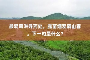 最爱葛洪寻药处，露苗烟蕊满山春。下一句是什么？