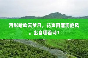 河影暗吹云梦月，花声闲落洞庭风。出自哪首诗？