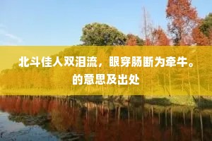 北斗佳人双泪流，眼穿肠断为牵牛。的意思及出处