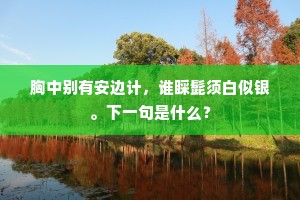 胸中别有安边计，谁睬髭须白似银。下一句是什么？