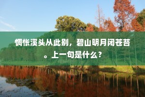 惆怅溪头从此别，碧山明月闭苍苔。上一句是什么？