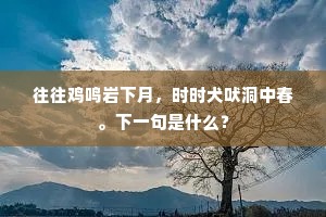 往往鸡鸣岩下月，时时犬吠洞中春。下一句是什么？