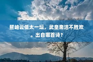 鳌岫云低太一坛，武皇斋洁不胜欢。出自哪首诗？