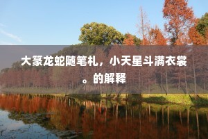大篆龙蛇随笔札，小天星斗满衣裳。的解释