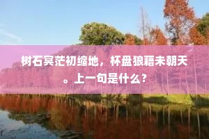 树石冥茫初缩地，杯盘狼藉未朝天。上一句是什么？