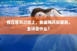 枝压细风过枕上，影笼残月到窗前。全诗是什么？