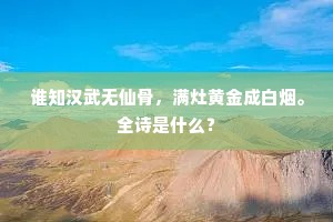 谁知汉武无仙骨，满灶黄金成白烟。全诗是什么？