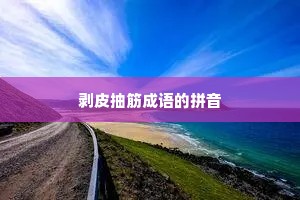 剥皮抽筋成语的拼音