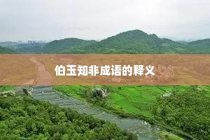 伯玉知非成语的释义