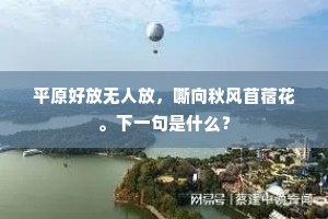 平原好放无人放，嘶向秋风苜蓿花。下一句是什么？