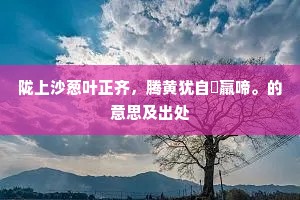 陇上沙葱叶正齐，腾黄犹自跼羸啼。的意思及出处