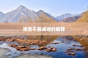 博而不精成语的解释