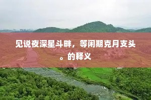 见说夜深星斗畔，等闲期克月支头。的释义