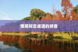 博闻辩言成语的拼音