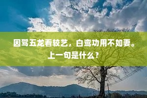 因驾五龙看较艺，白鸾功用不如妻。上一句是什么？