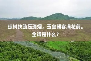 琼树扶疏压瑞烟，玉皇朝客满花前。全诗是什么？