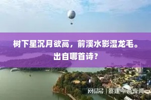 树下星沉月欲高，前溪水影湿龙毛。出自哪首诗？