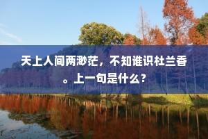 天上人间两渺茫，不知谁识杜兰香。上一句是什么？