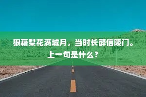 狼藉梨花满城月，当时长醉信陵门。上一句是什么？