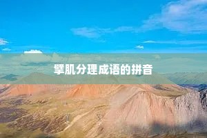 擘肌分理成语的拼音