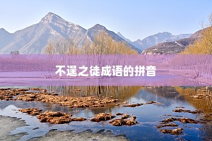 不逞之徒成语的拼音