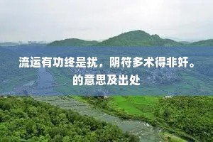 流运有功终是扰，阴符多术得非奸。的意思及出处