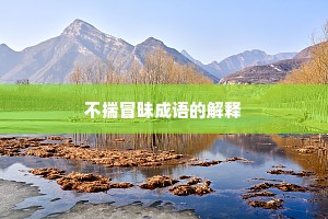 不揣冒昧成语的解释