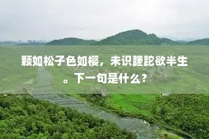 颗如松子色如樱，未识蹉跎欲半生。下一句是什么？