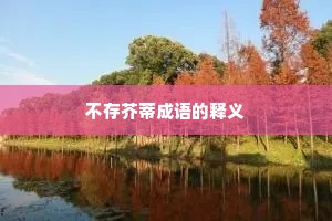 不存芥蒂成语的释义
