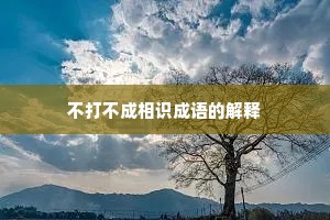 不打不成相识成语的解释